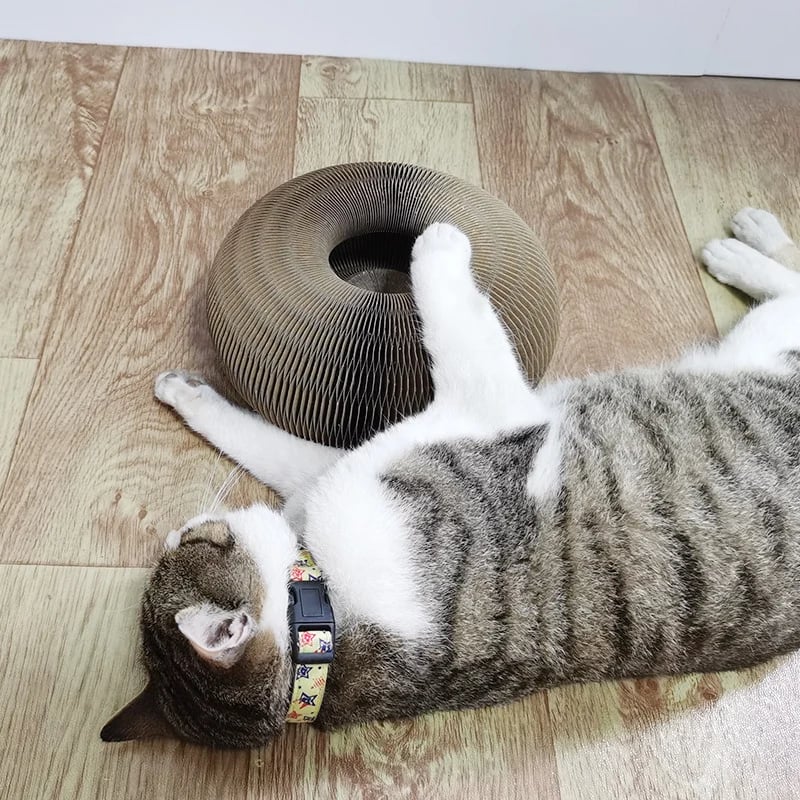 Cat Scratching Post Flexible Durable Design | Purrfect Playtime-5