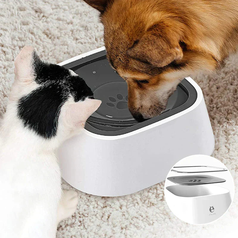 Dog Water Bowl Anti-Splash BPA-Free Plastic | Pawsip-3