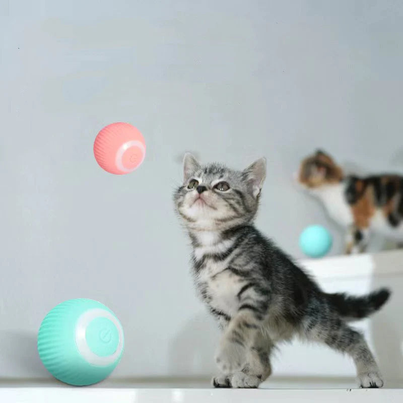 Interactive Cat Toy Multi-Color Durable Plastic | Purrball-2