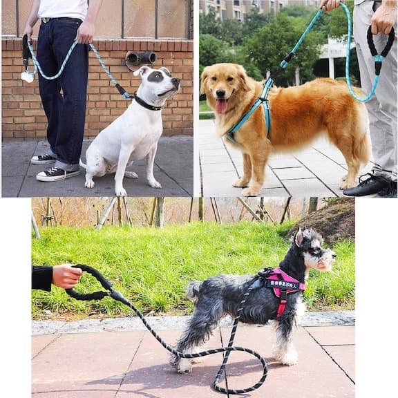 Dog Rope Leash Reflective Durable Climbing Rope | Adventure Ready-3