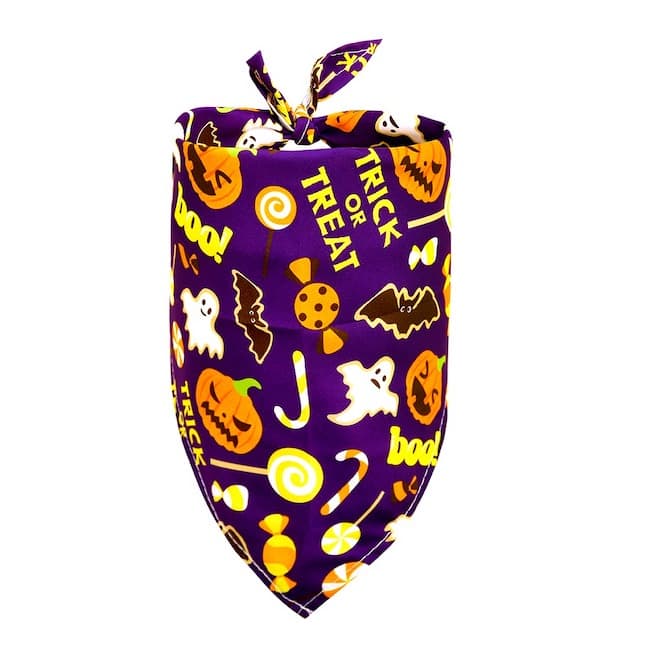 Pet Bandana Halloween Design | Spooky Style-4