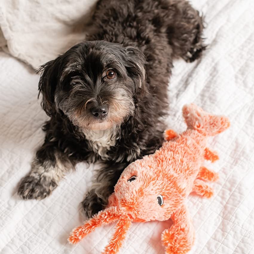 Interactive Dog Toy Lobster Simulation Rechargeable | Playful Companion-1