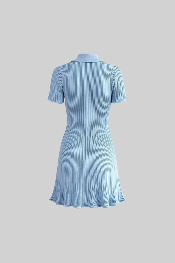Women Chic Ribbed Knit Dress | Skyla