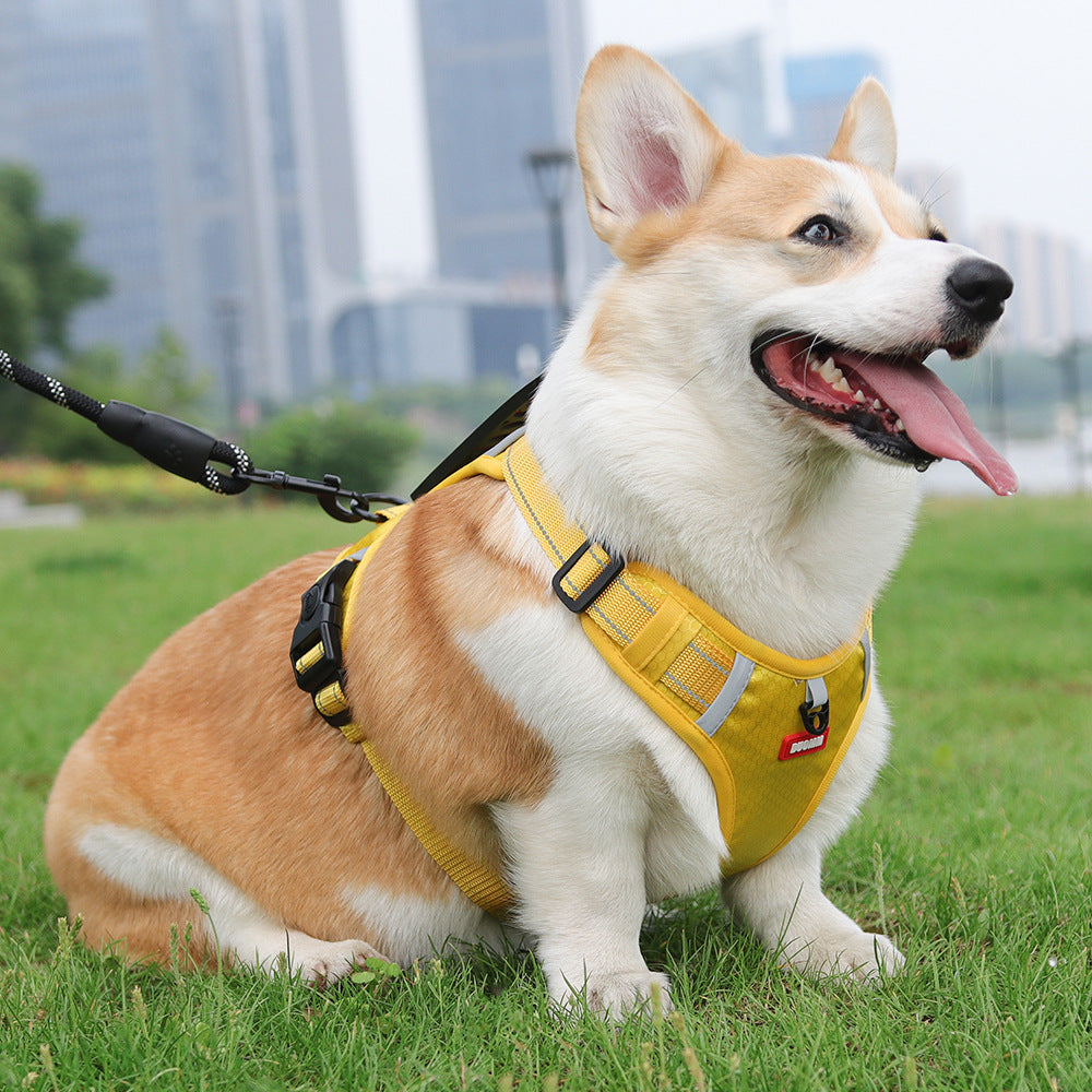 Adjustable Dog Harness No Pull Breathable Fabric | Comfortable Control for Dogs-5