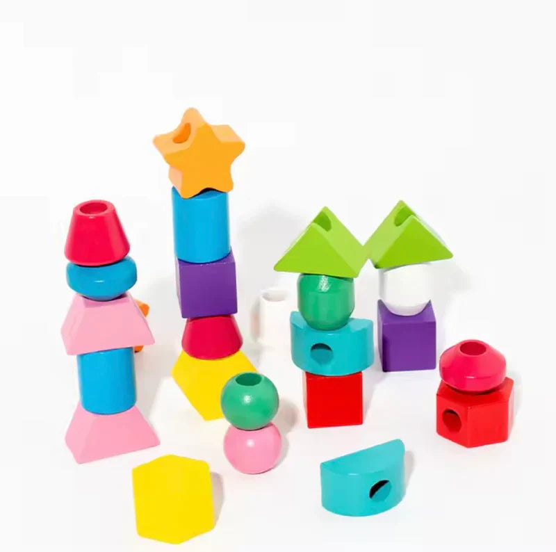 Educational Toy Wooden Puzzle Blocks for 3 Year Olds | Learning Fun-5