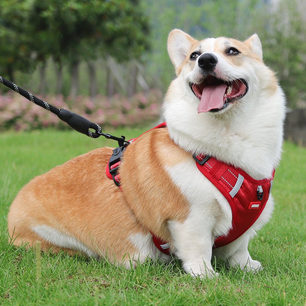 Adjustable Dog Harness No Pull Breathable Fabric | Comfortable Control for Dogs-6