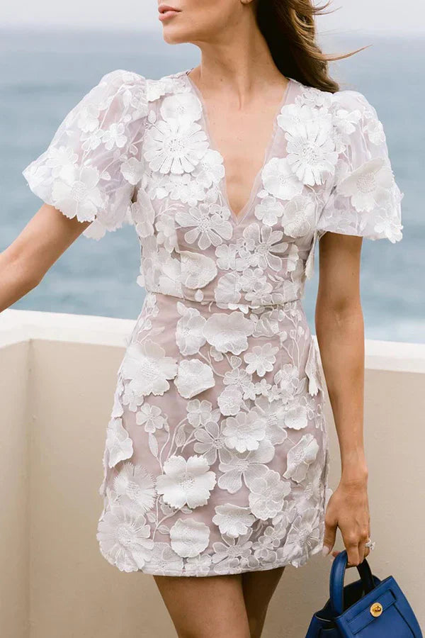 Women Floral Embroidered Mini Dress | Sue