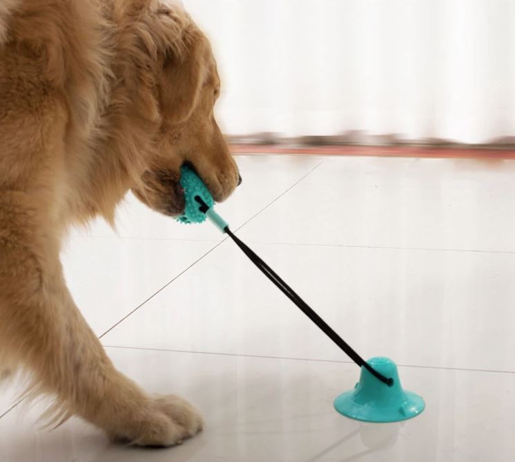 Interactive Dog Toy Durable Rubber with Suction Cup | Chewmaster-2