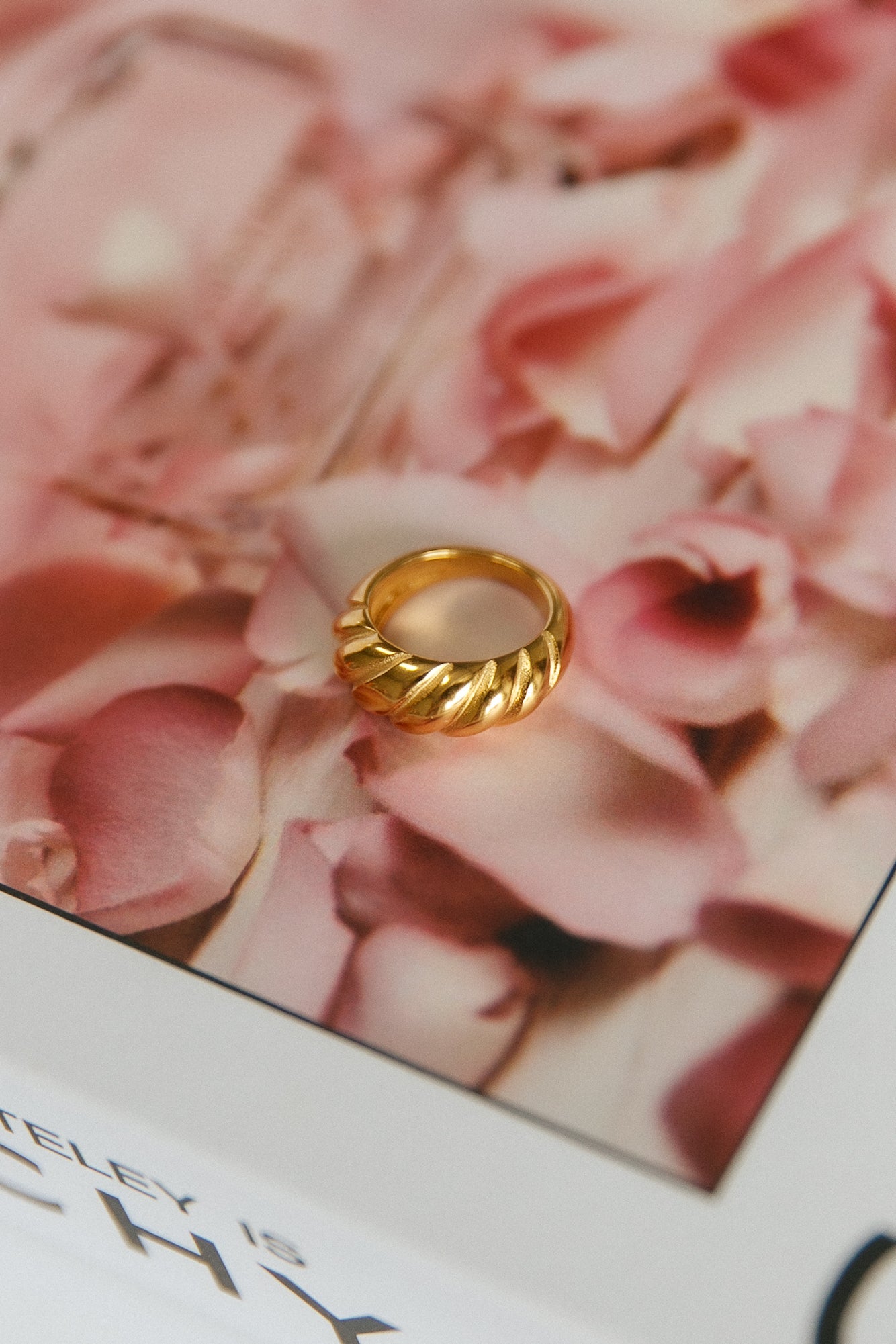 Women Ring Gold Plated Titanium Steel | Daydream-2