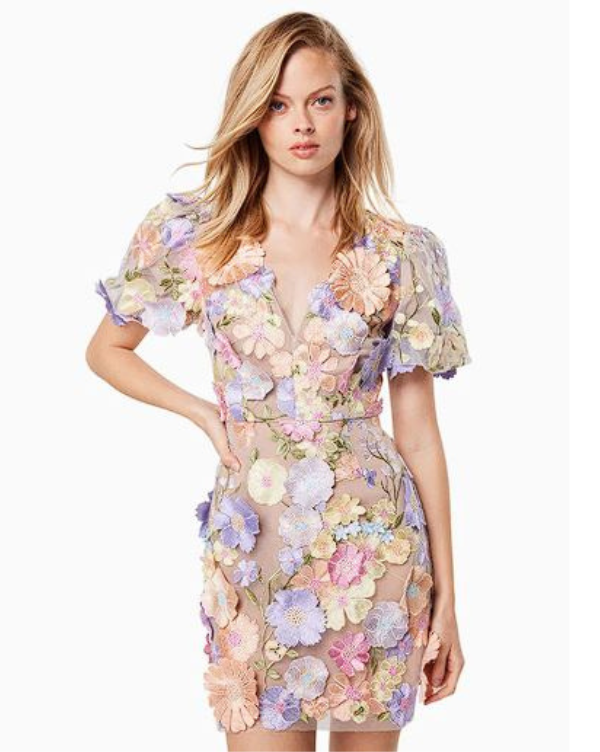 Women Floral Embroidered Mini Dress | Sue