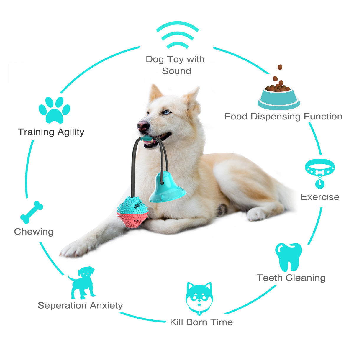 Interactive Dog Toy Durable Rubber with Suction Cup | Chewmaster-5