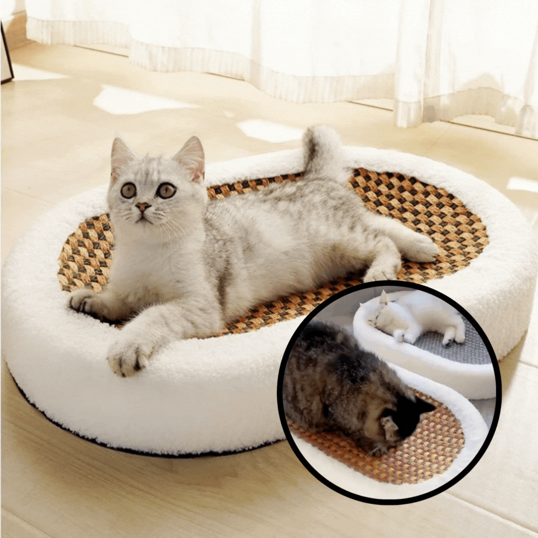 Cat Bed Plush Crab Surface | Cozy Retreat for Cats-2