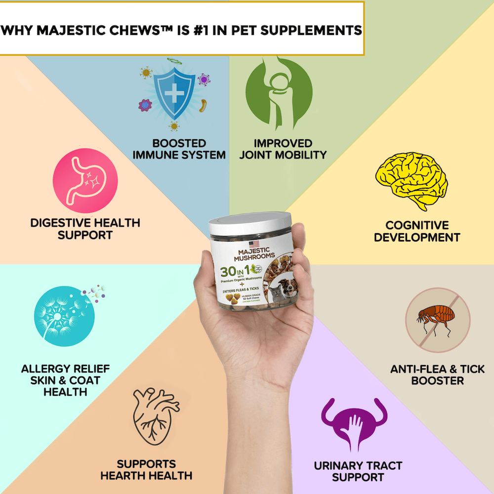 Pet Chew Treats Organic Super Mushrooms | Calming Blend-4