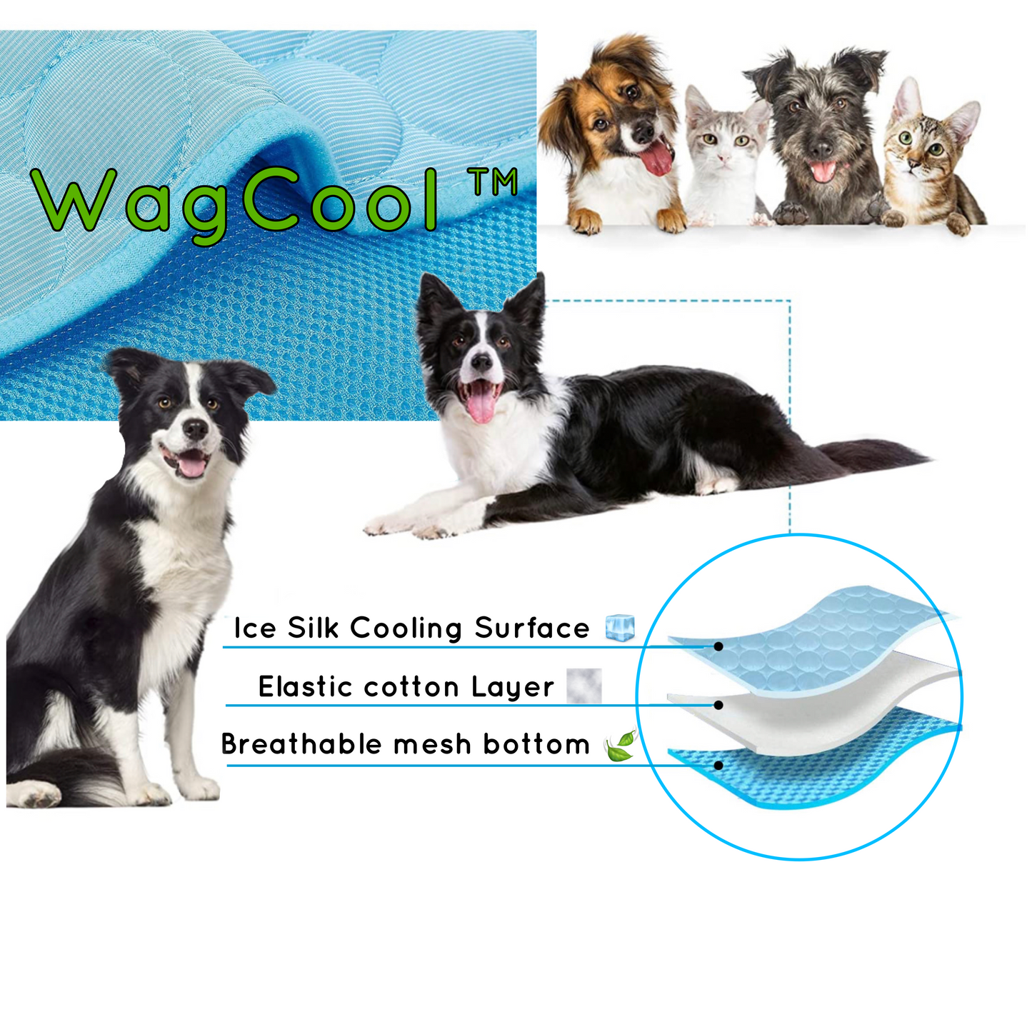 https://cdn.shopify.com/s/files/1/0016/6032/1853/products/IMG_3233.png?v=1658152493