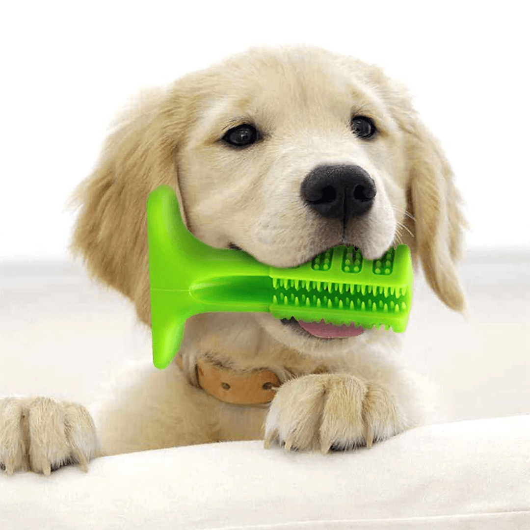 Dog Toothbrush Silicone BPA-Free | Canine Care-2