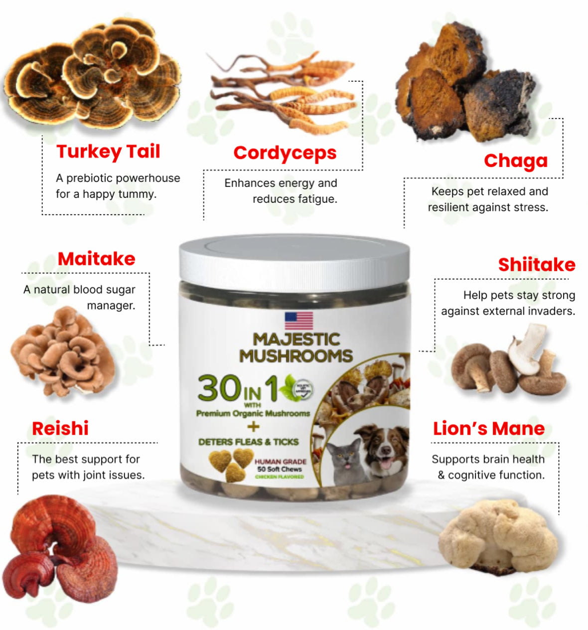 Pet Chew Treats Organic Super Mushrooms | Calming Blend-3