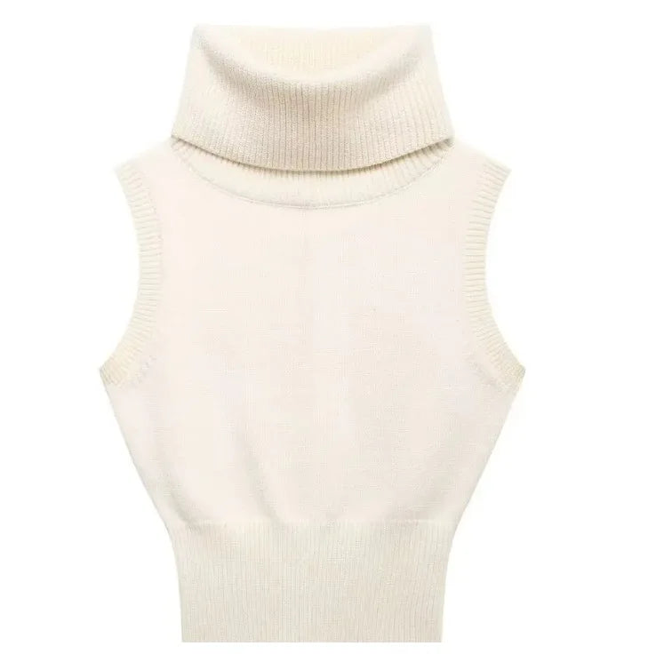 Women Sleeveless Turtleneck Knit Top | Eglantine