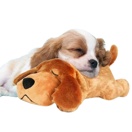 Dog Toy Comfort Plush with Heartbeat Simulation | Cuddle Buddy-1