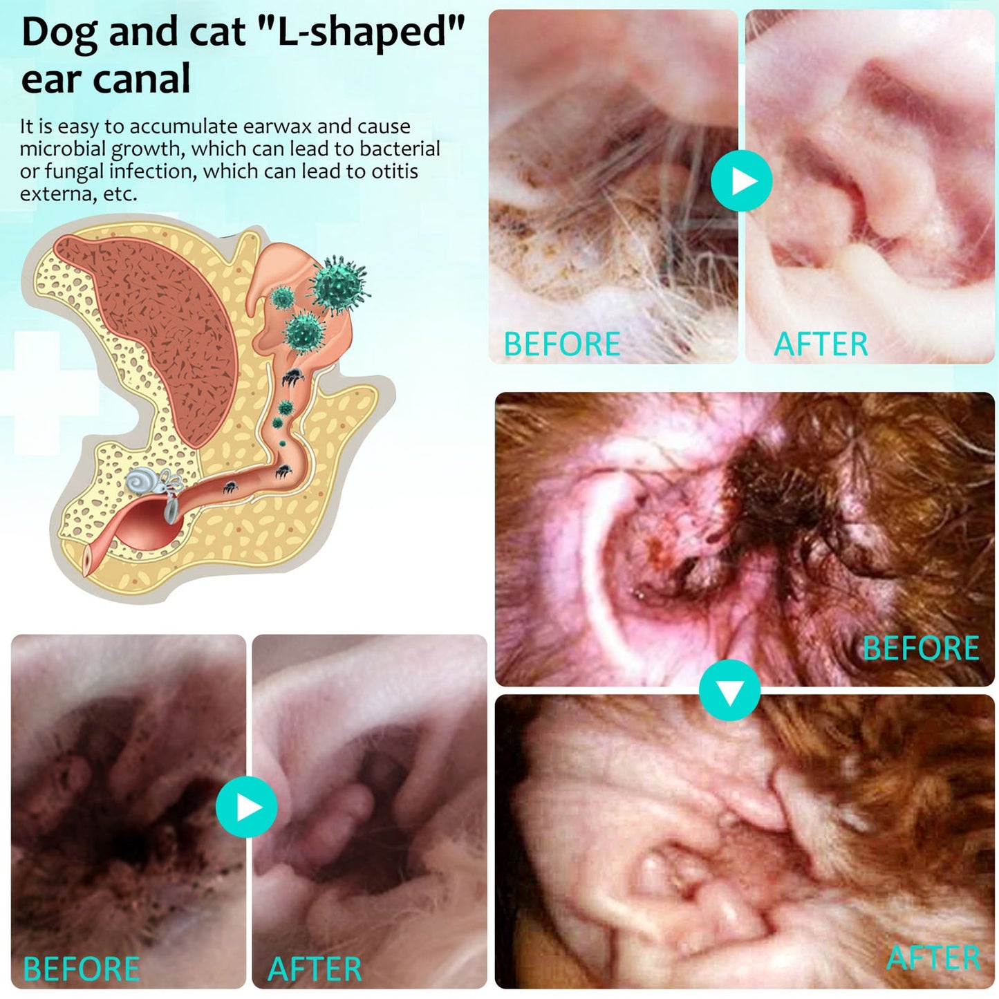 Pet Ear Cleaner Natural Treatment for Dogs and Cats | WagMites-3