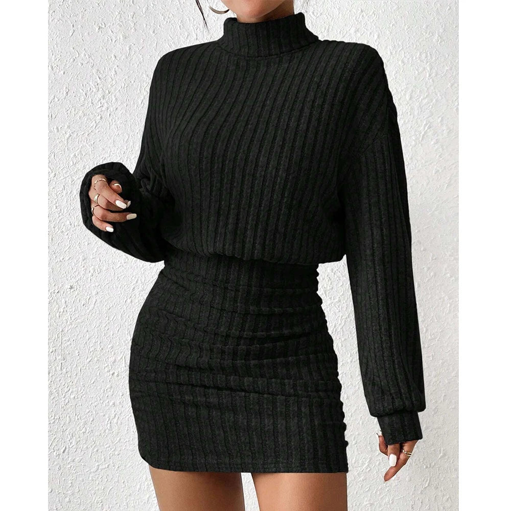 Women Ribbed Knit Turtleneck Sweater Dress | Isolde