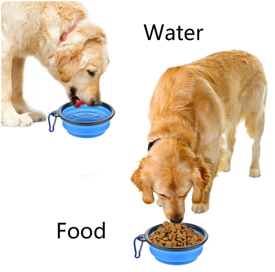 Pet Collapsible Bowl Green Silicone | Adventure Buddy-4