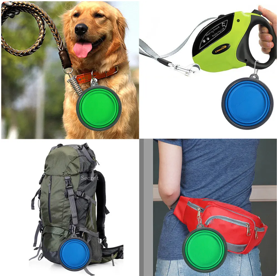 Pet Collapsible Bowl Green Silicone | Adventure Buddy-5