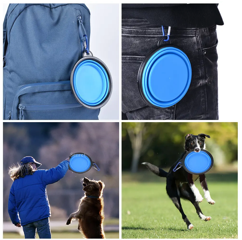 Pet Collapsible Bowl Green Silicone | Adventure Buddy-6