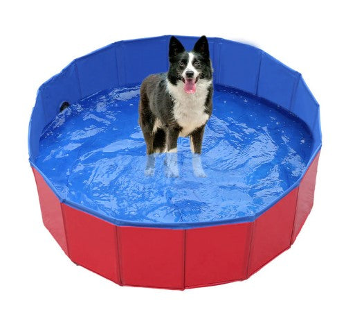 Pet Collapsible Dog Pool Blue PVC | WagPool-1