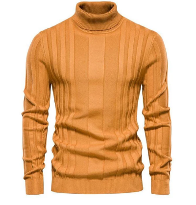 Men Ribbed Knit Turtleneck Sweater | Ivan