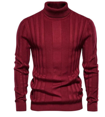 Men Ribbed Knit Turtleneck Sweater | Ivan