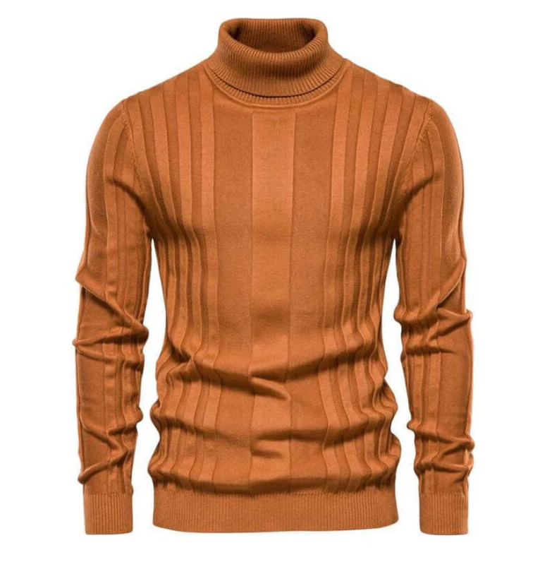 Men Ribbed Knit Turtleneck Sweater | Ivan