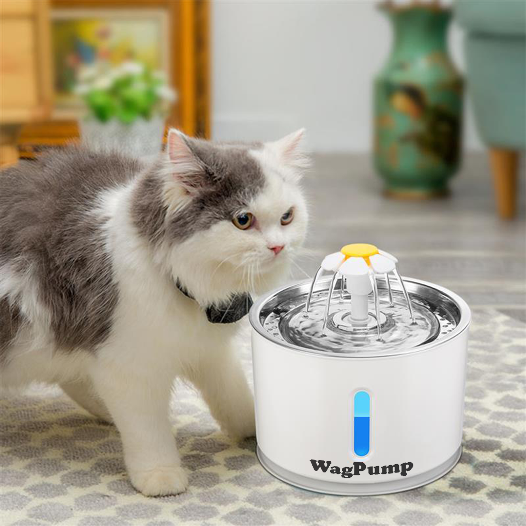 Pet Water Fountain Automatic Large Eco-Friendly | WagPump-2