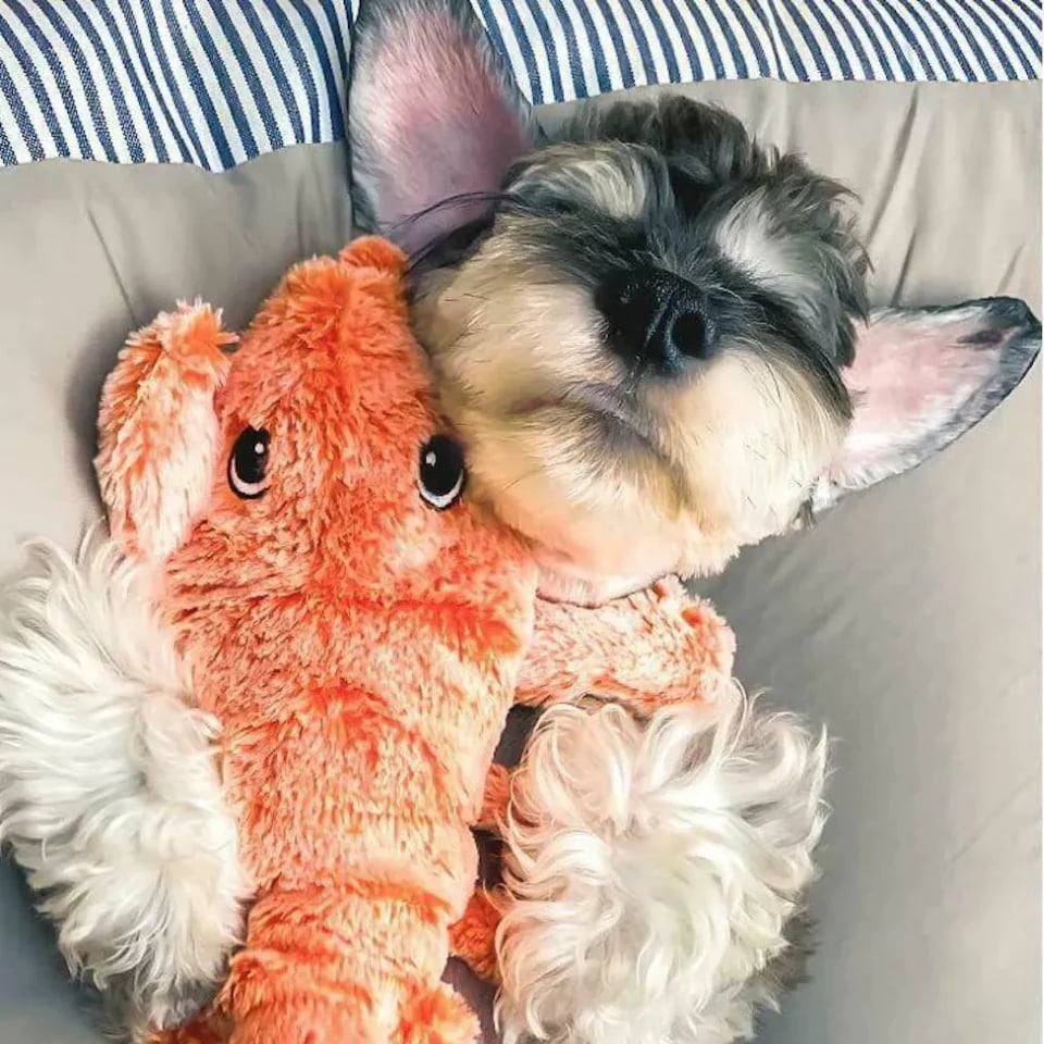 Interactive Dog Toy Lobster Simulation Rechargeable | Playful Companion-2