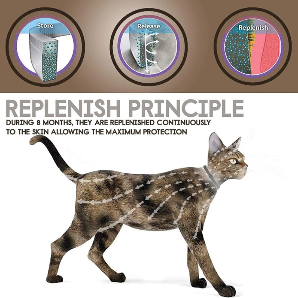 Cat Flea Collar Adjustable Plastic | Whiskers-3