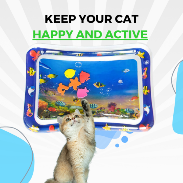 https://cdn.shopify.com/s/files/1/0704/3081/8569/files/catsplash-play-mat-pi3fx-600x600.png?v=1727847241