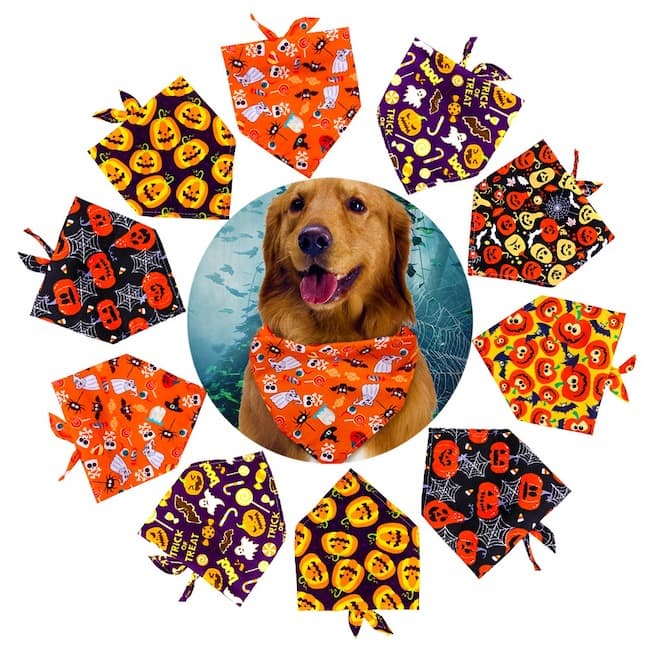 Pet Bandana Halloween Design | Spooky Style-3