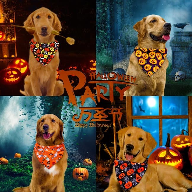 Pet Bandana Halloween Design | Spooky Style-2