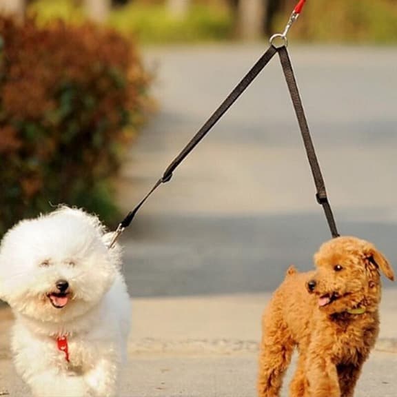 Dog Dual Leash Black Nylon | Adventure Buddy-4