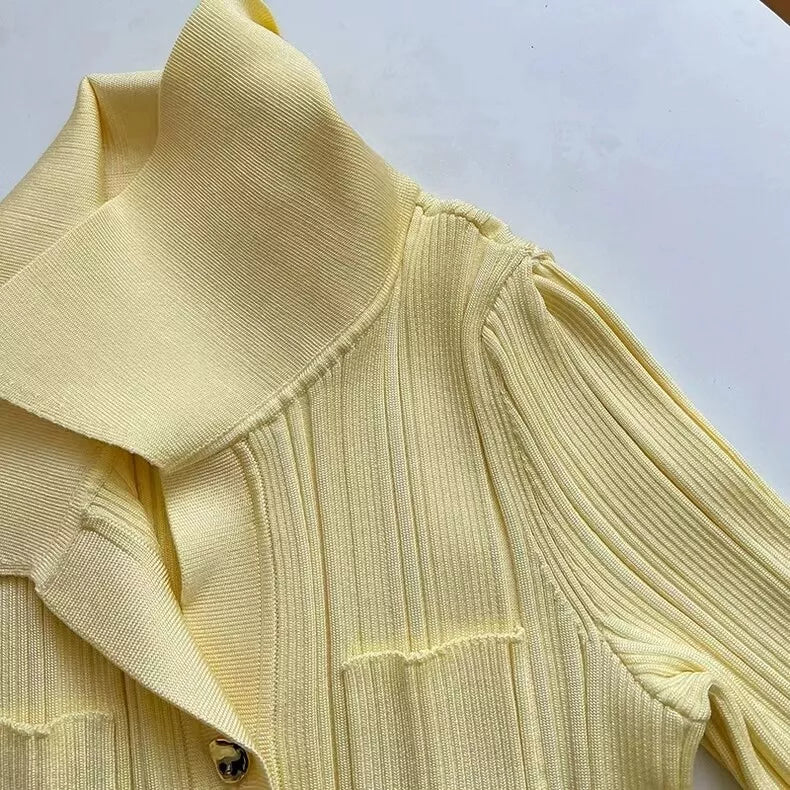 Pleated Button-Up Midi Dress | Aracelli