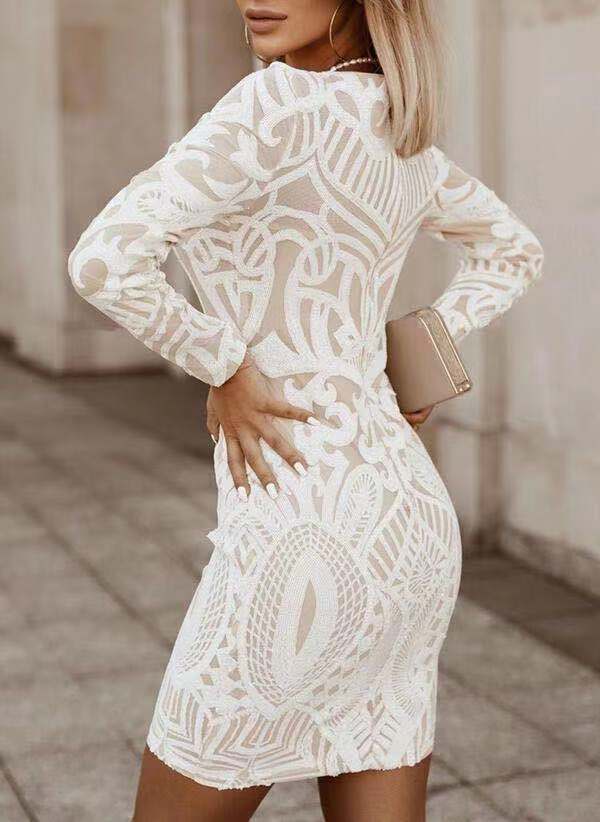Women Embroidered Bodycon Dress | Edelyn