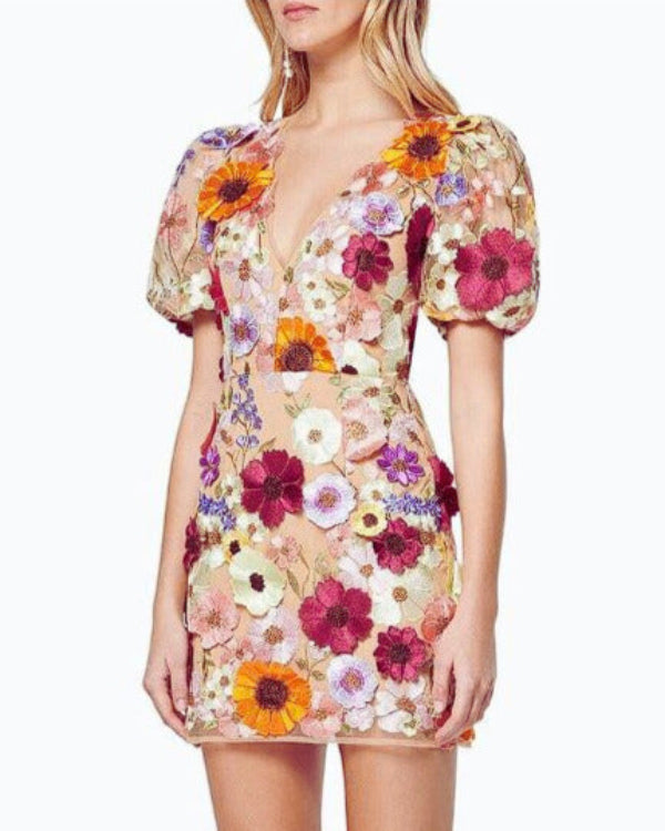 Women Floral Embroidered Mini Dress | Sue