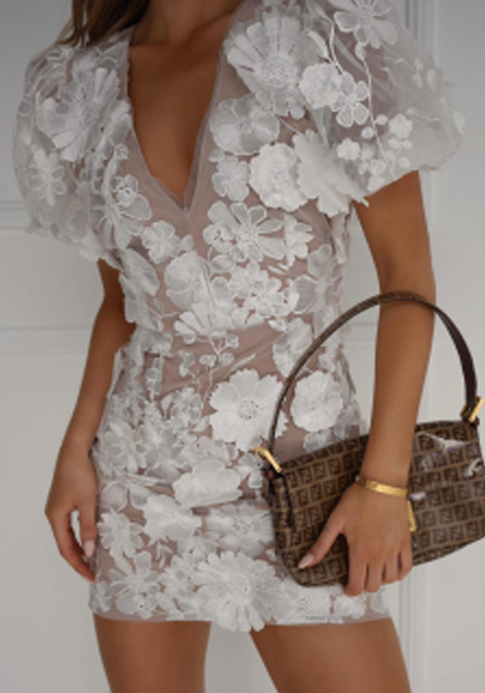 Women Floral Embroidered Mini Dress | Sue