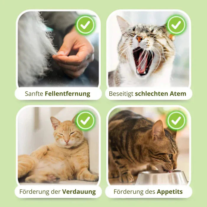 Cat Chew Treats Natural Chicken Catnip | Whisker Wonder-3