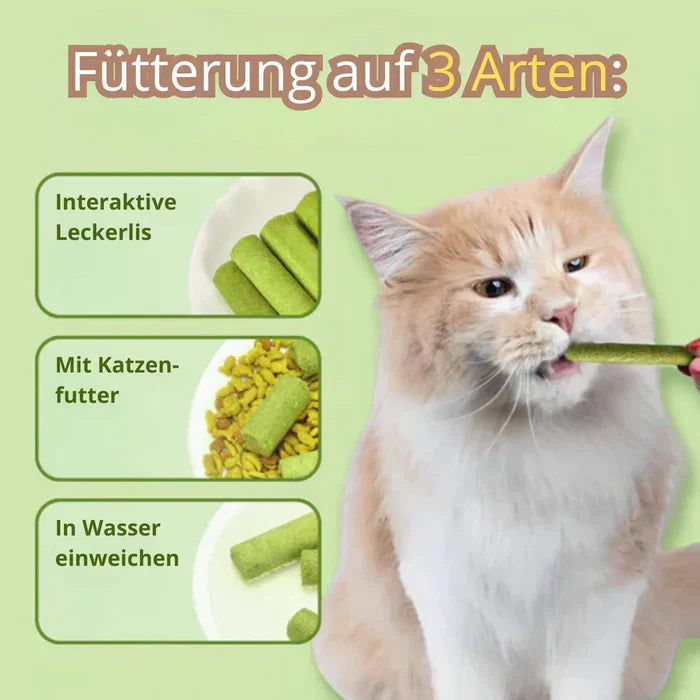 Cat Chew Treats Natural Chicken Catnip | Whisker Wonder-5