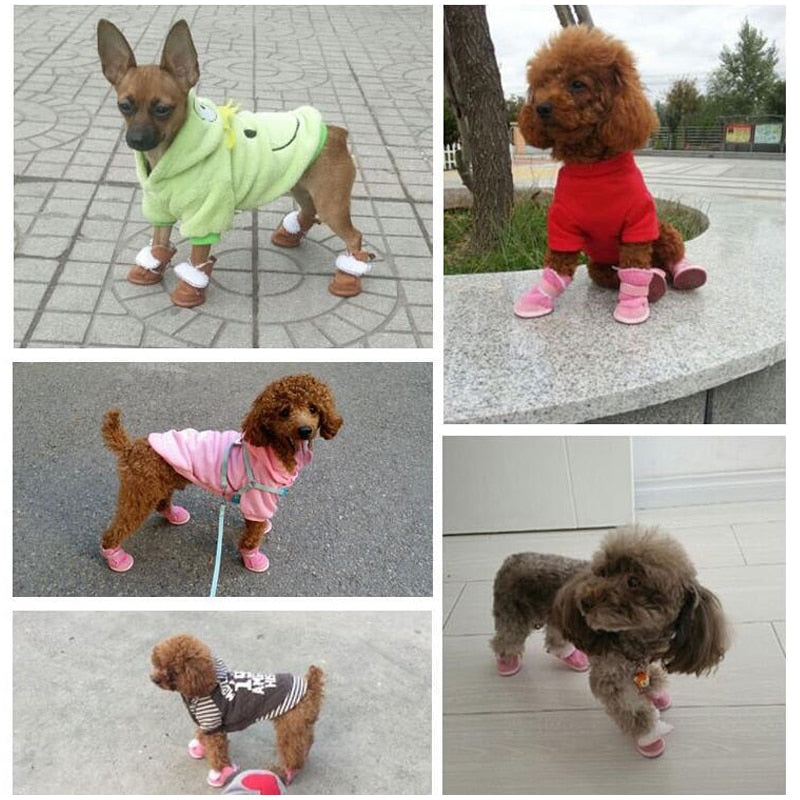 https://cdn.shopify.com/s/files/1/0704/3081/8569/files/pawstrip-Winter-Dog-Shoes-Small-Dog-Boots-Soft-Warm-Puppy-Snow-Boots-Chihuahua-Yorkie-Pet-Shoes_2066f09b-fcdf-476c-b5bd-c54019d60191.jpg?v=1729732769