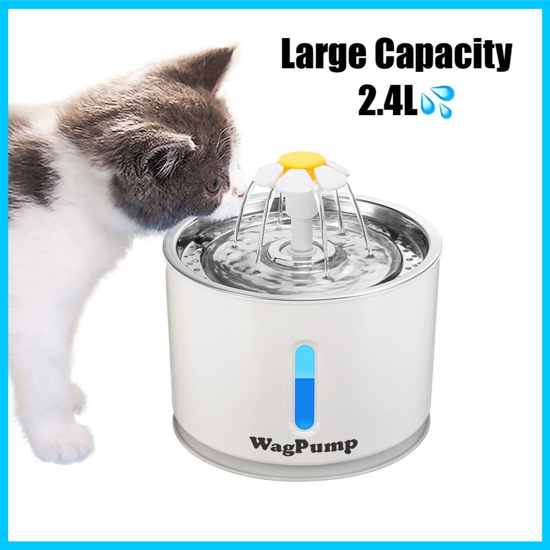 https://cdn.shopify.com/s/files/1/0016/6032/1853/products/wagpp_d3e10bd6-abf6-4831-b26b-a18d077ede15.png?v=1658036278