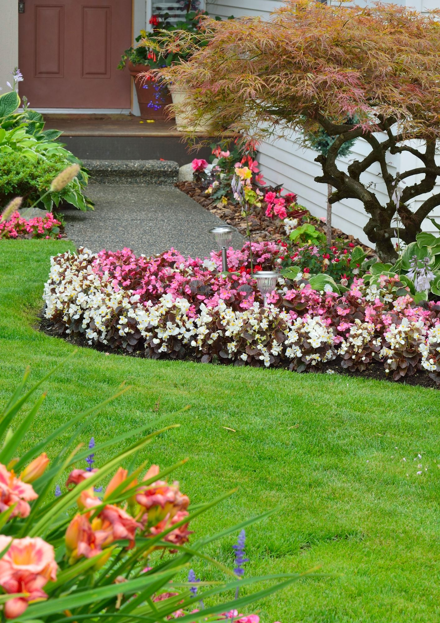 Home & Garden
