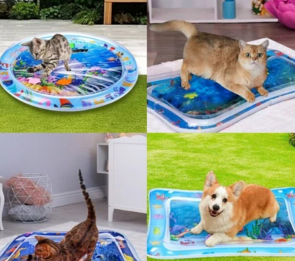 Pet Mat Interactive Water Play Non-Toxic | Pawsplash-4