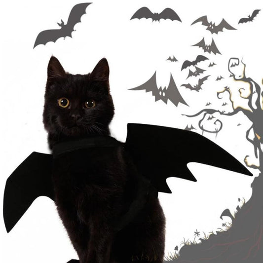 https://cdn.shopify.com/s/files/1/0016/6032/1853/products/2022-New-Pet-Dog-Cat-Bat-Wing-Cosplay-Prop-Halloween-Fancy-Dress-Costume-Outfit-Wings-Costumes.jpg_Q90.jpg__4.jpg?v=1662992380