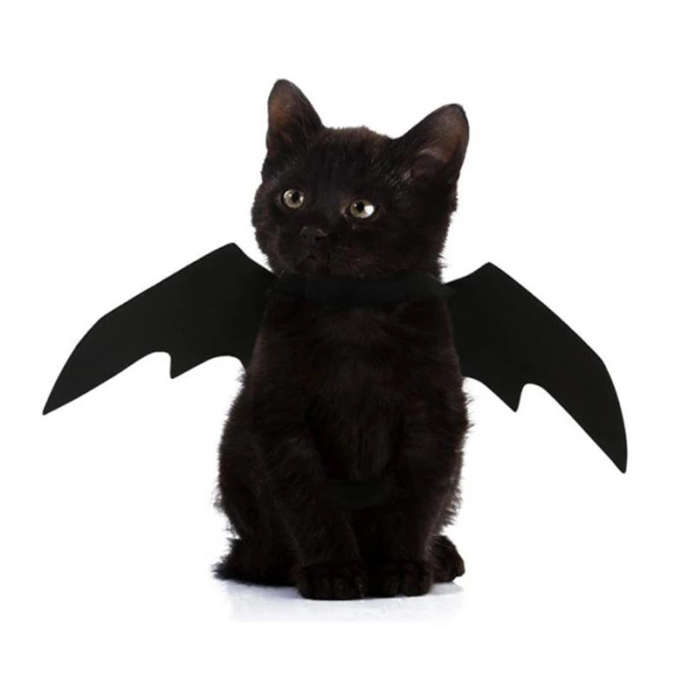 Pet Halloween Costume Bat Wings Adjustable for Dogs and Cats | Gotham-2
